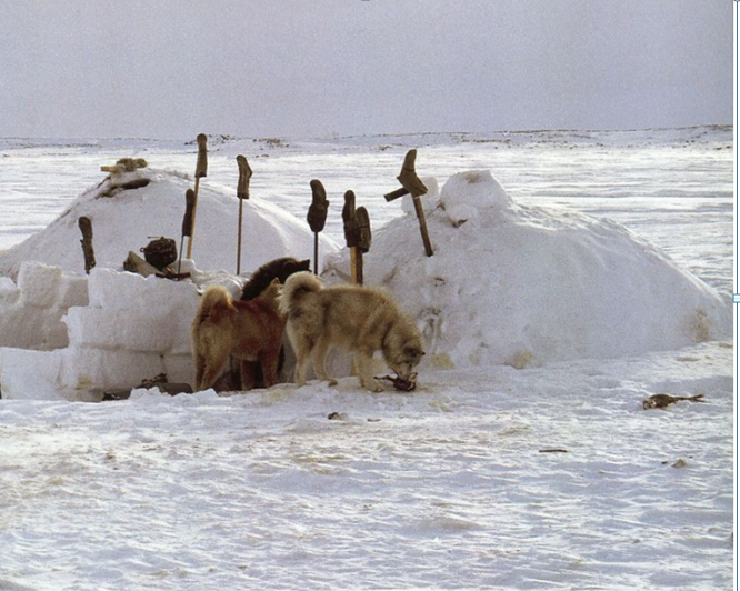 « ON A PEUR DE SILA QUI DONNE LES TEMPÊTES! »Les Inuit ou la sagesse du territoire.
