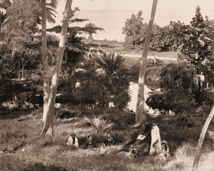« MOURIR AUX MARQUISES! » PAUL GAUGUIN ET LE PRIMITIVISME(5)